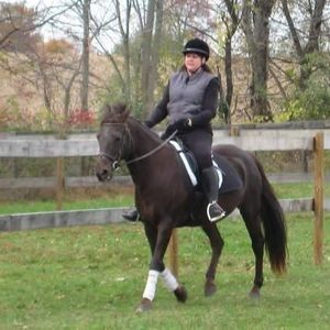 Meet your Posher, Donna